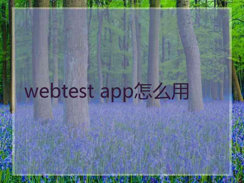webtest app怎么用 webtest app怎么用